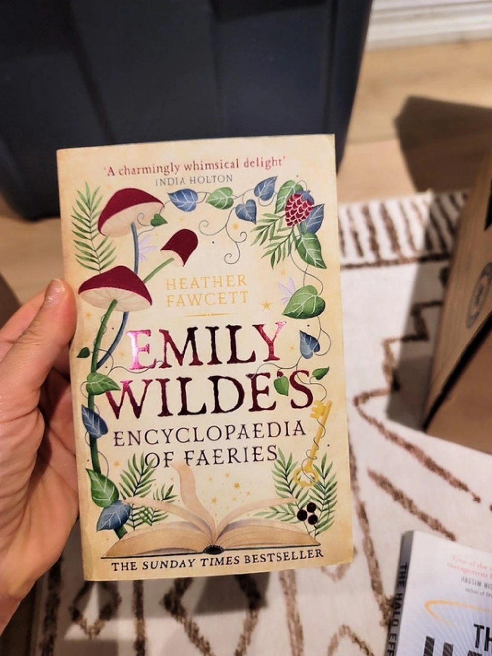 Emily Wilde's Encyclopaedia of Faeries Paperback Book